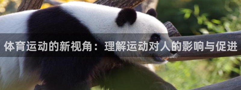 广州市意昂智能科技有限公司