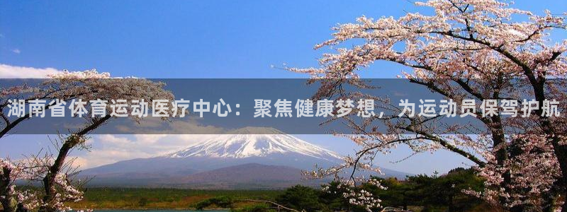 意昂2体育代理申请流程