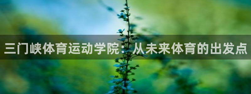 意昂2电子有限公司