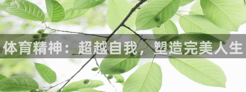 意昂4官网