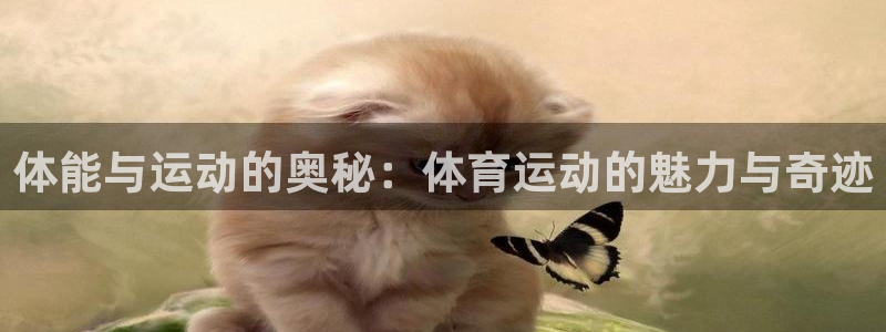 意昂2体育老板是谁