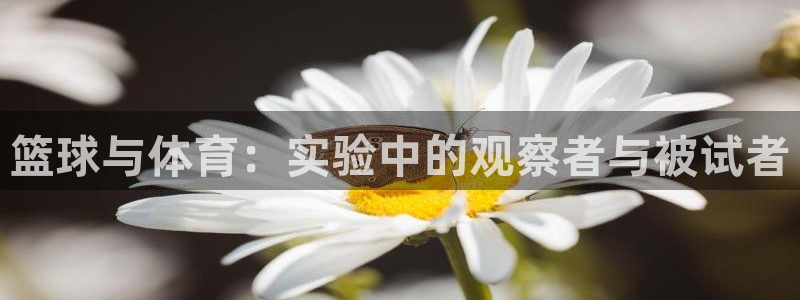 意昂4平台