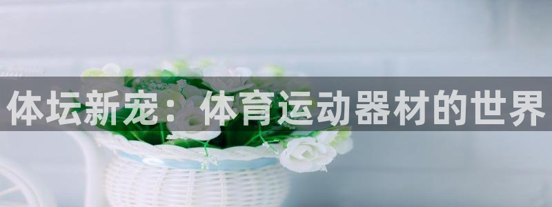 意昂2体育网页版入口