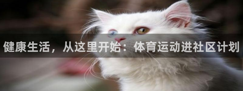 意昂2零能源集团