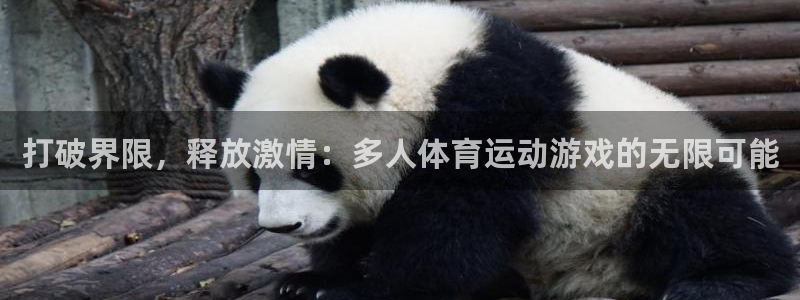 意昂23官网登录